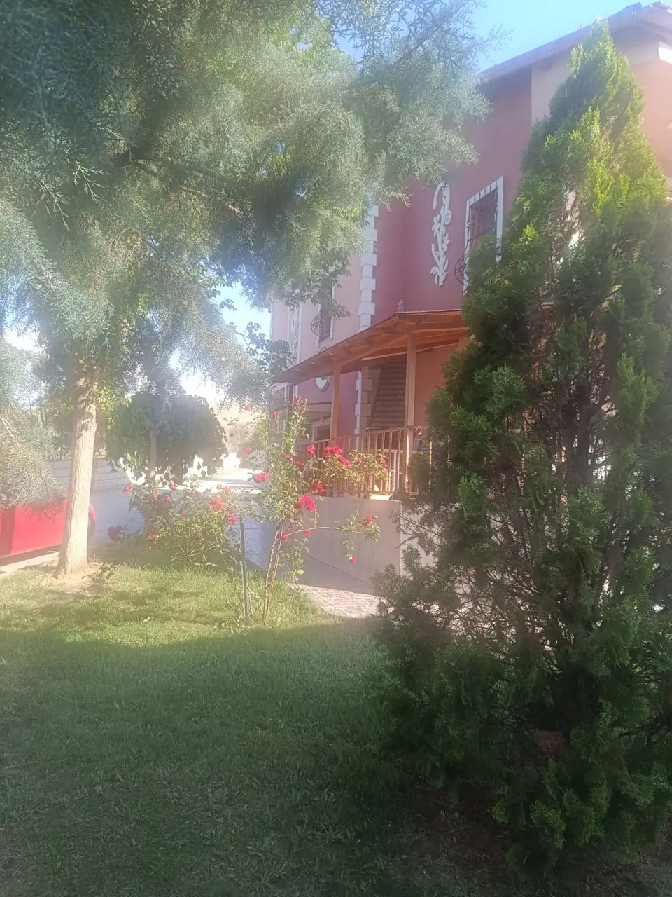 Servi ağacı, gül fidanları ve arkada villanın ahşap terası