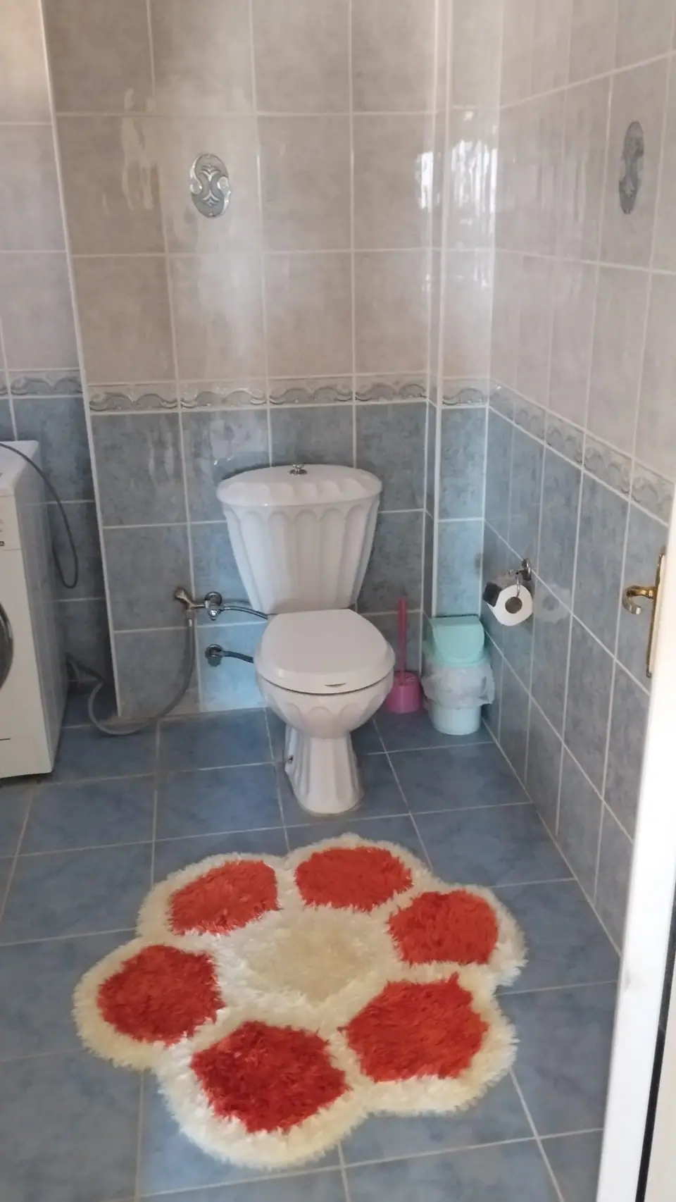Çiçek paspaslı banyoda klozet ve çamaşır makinesi